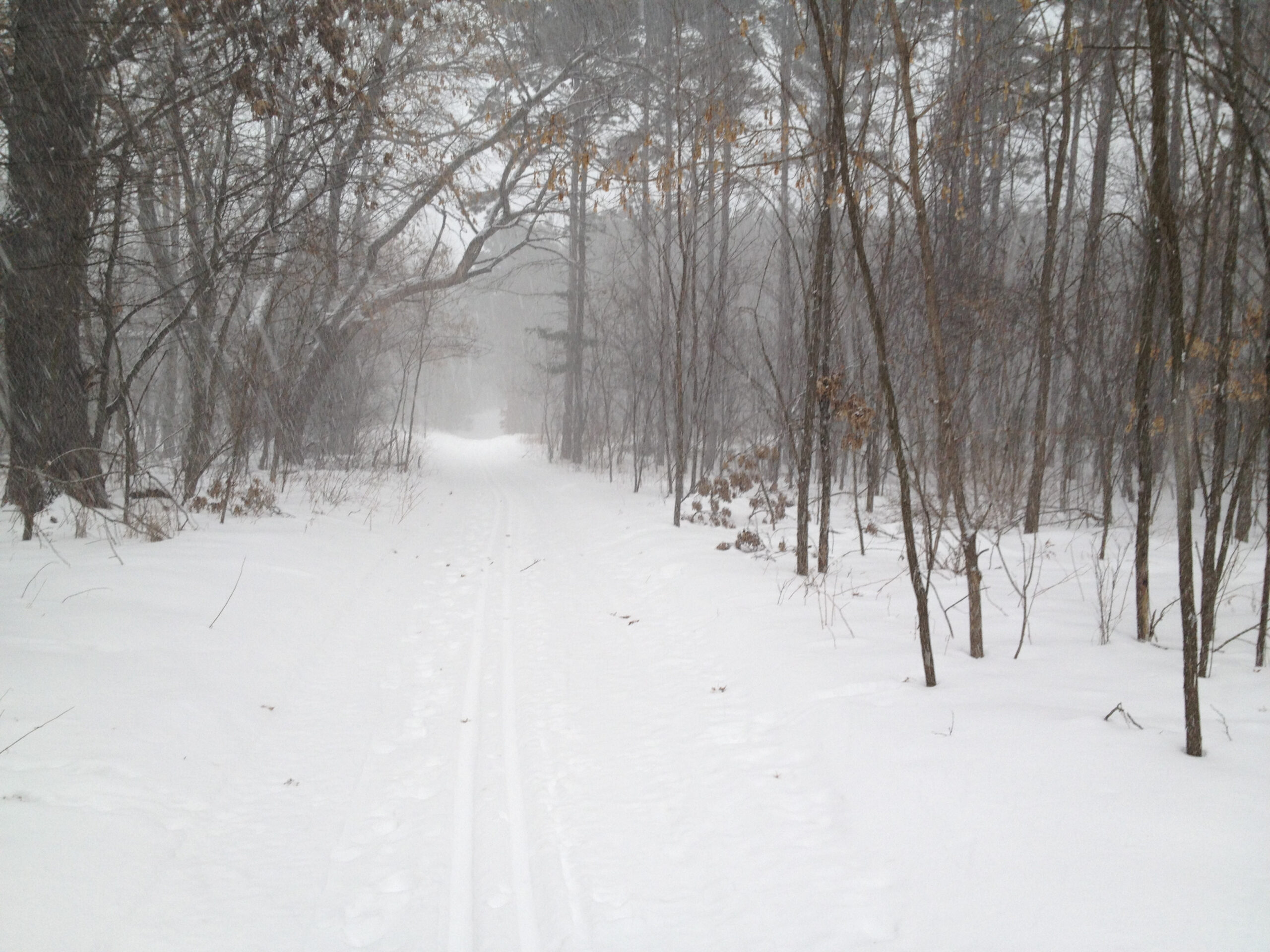 New Snowmobile for Trail Grooming - Donate Now!